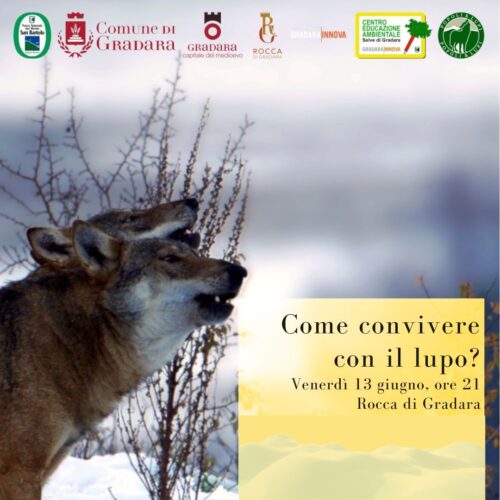 Locandina dell' incontro alla Rocca sul tema del lupo